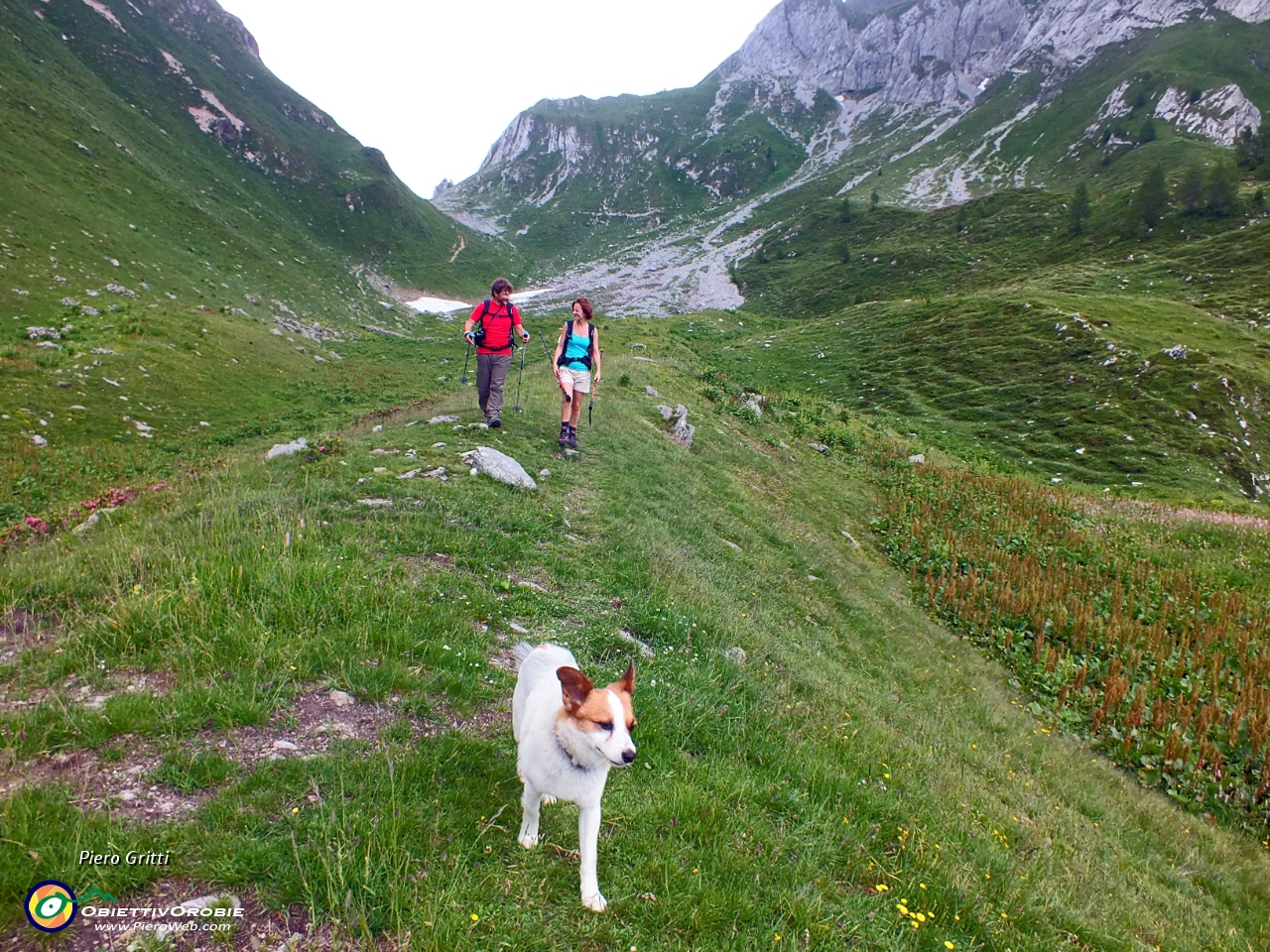 87 sul sentiero 115 scendiamo la Val Terzera....JPG
